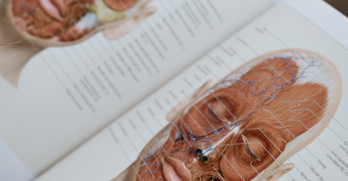The Connection Between Botox and Headaches: Side Effects Explored
